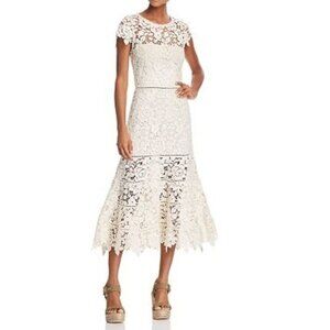 Joie Celedonia Scallop Lace Dress